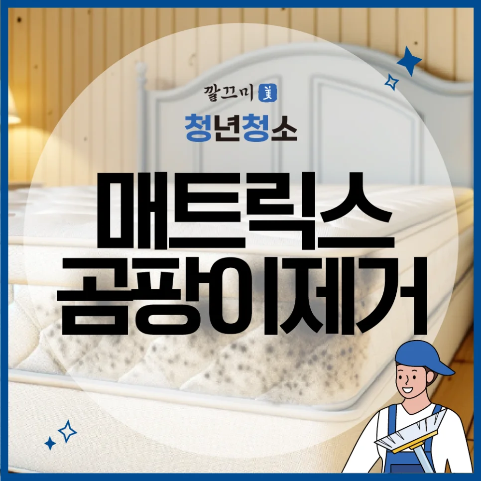 매트릭스 곰팡이제거 방법, 침구류 세탁 방법, 침실 깔끔하게 청소하고 관리하는 방법! — 본문 이미지 1
