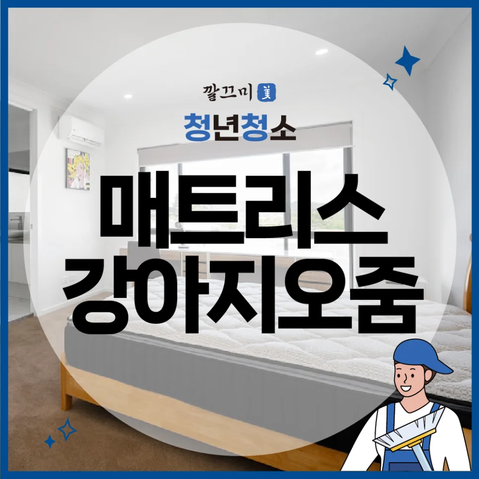 매트리스강아지오줌 빨래 방법, 침구류 빨래 및 관리 방법, 침실 청소 꿀팁 — 본문 이미지 1
