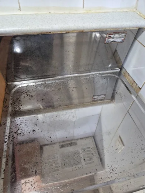 곰팡이제거업체 찾는다면? 부안 곰팡이·묵은짐 정리 현장 다녀왔어요 — 본문 이미지 4