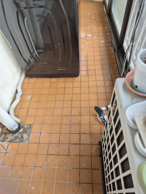곰팡이제거업체 찾는다면? 부안 곰팡이·묵은짐 정리 현장 다녀왔어요 — 본문 이미지 19