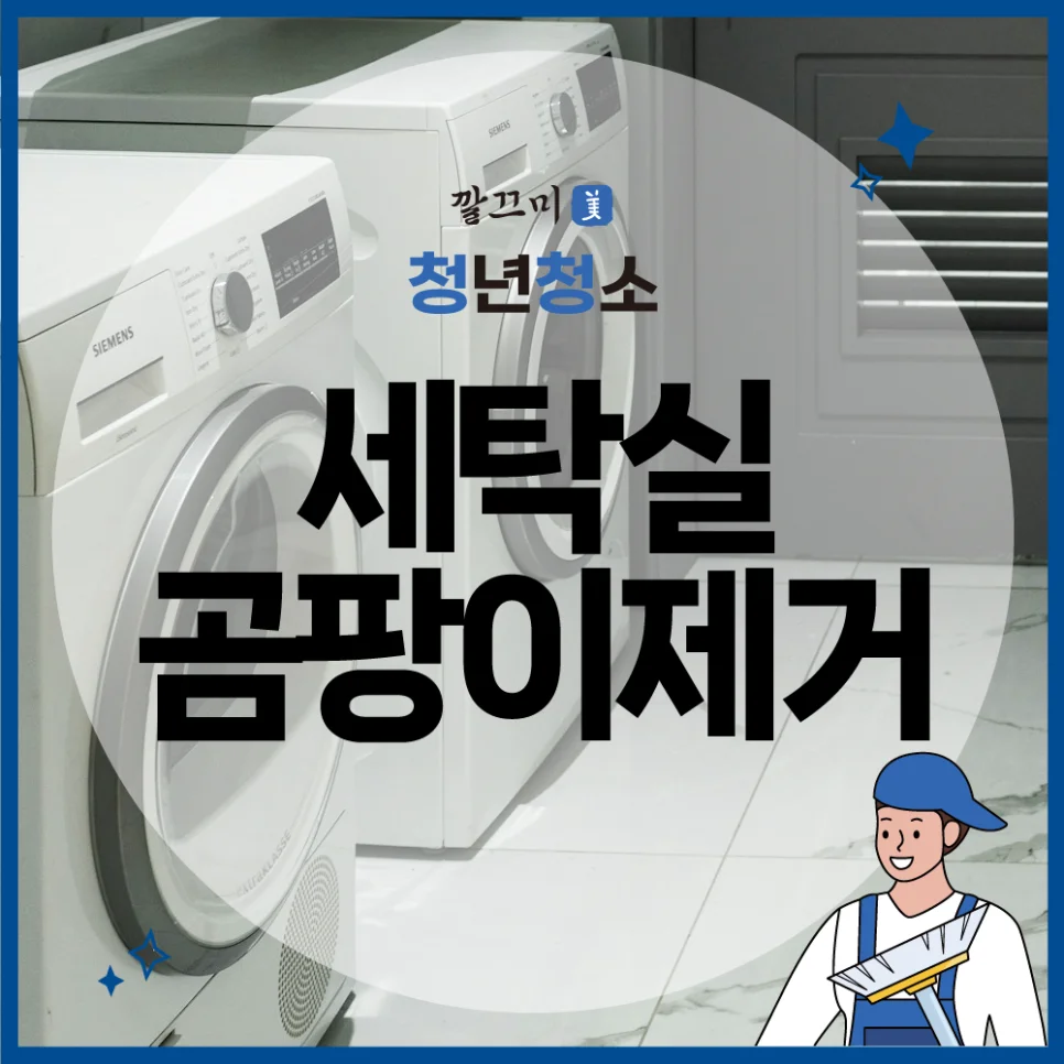 세탁실곰팡이제거 방법, 세탁기 관리 방법, 세탁 꿀팁 3가지 모두 알려드릴게요 — 본문 이미지 1